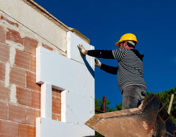 Best Residential Insulation Services  in USA